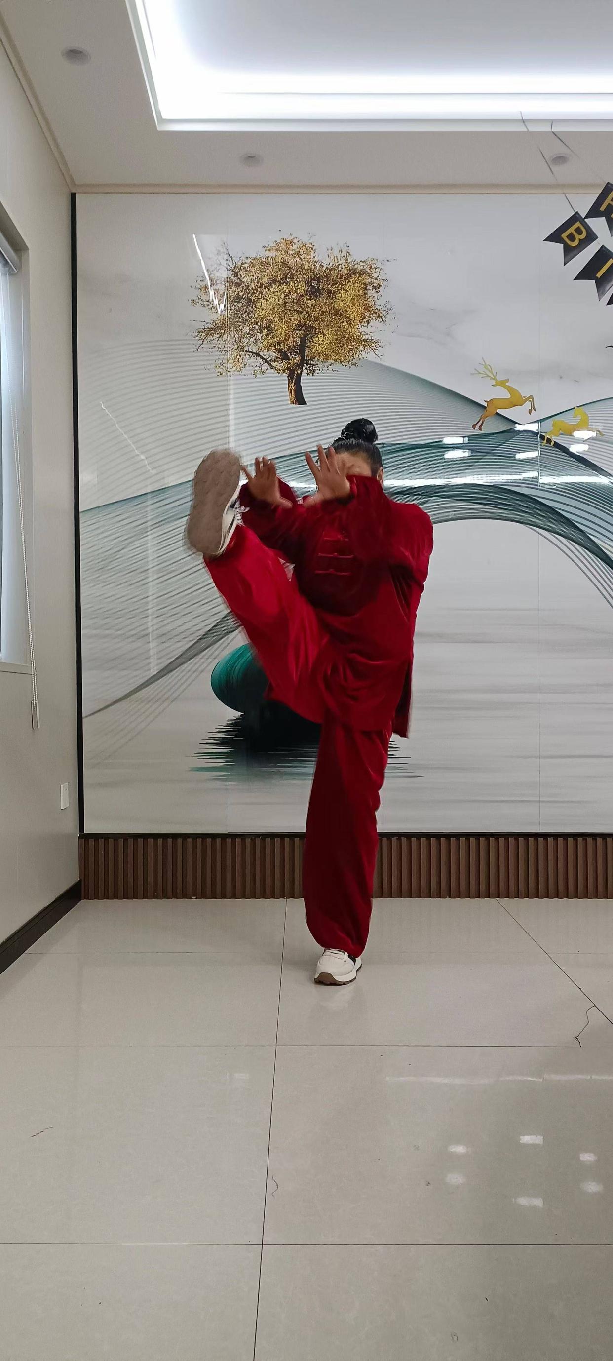 关于传统武道会，展现技艺的力量与美感的信息